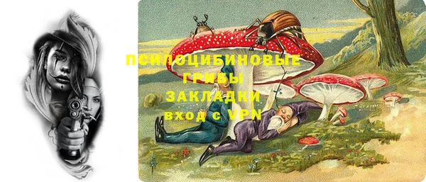 дмт Киреевск